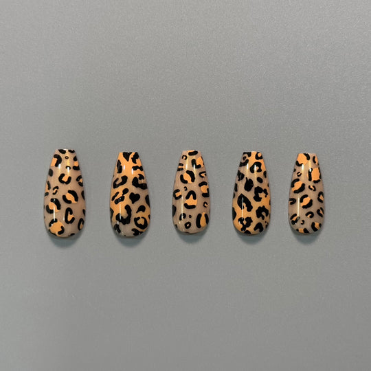 Leopard Roar