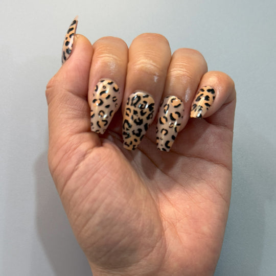 Leopard Roar