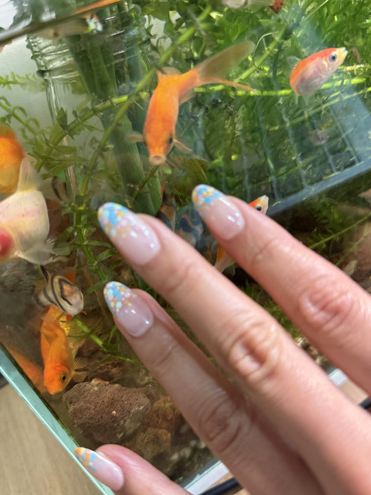 Color Bubbles
