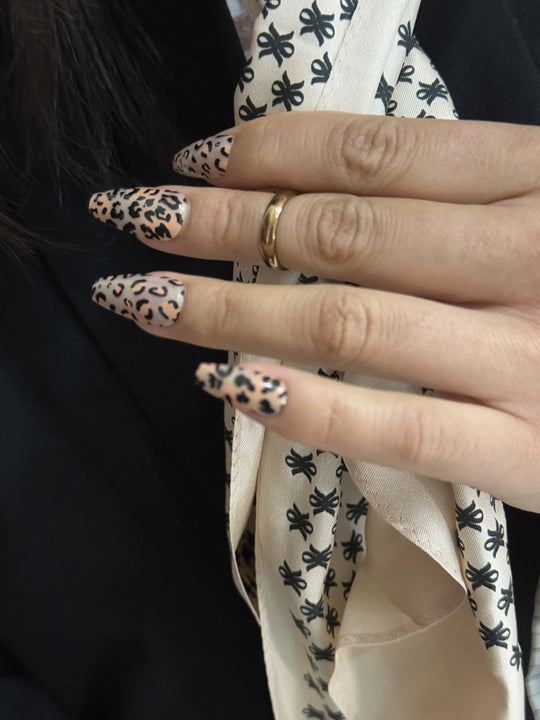 Leopard Roar