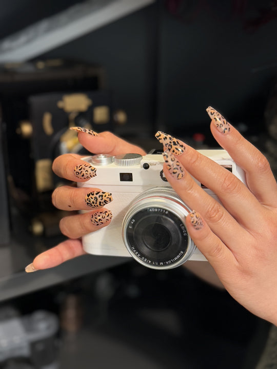 Leopard Roar